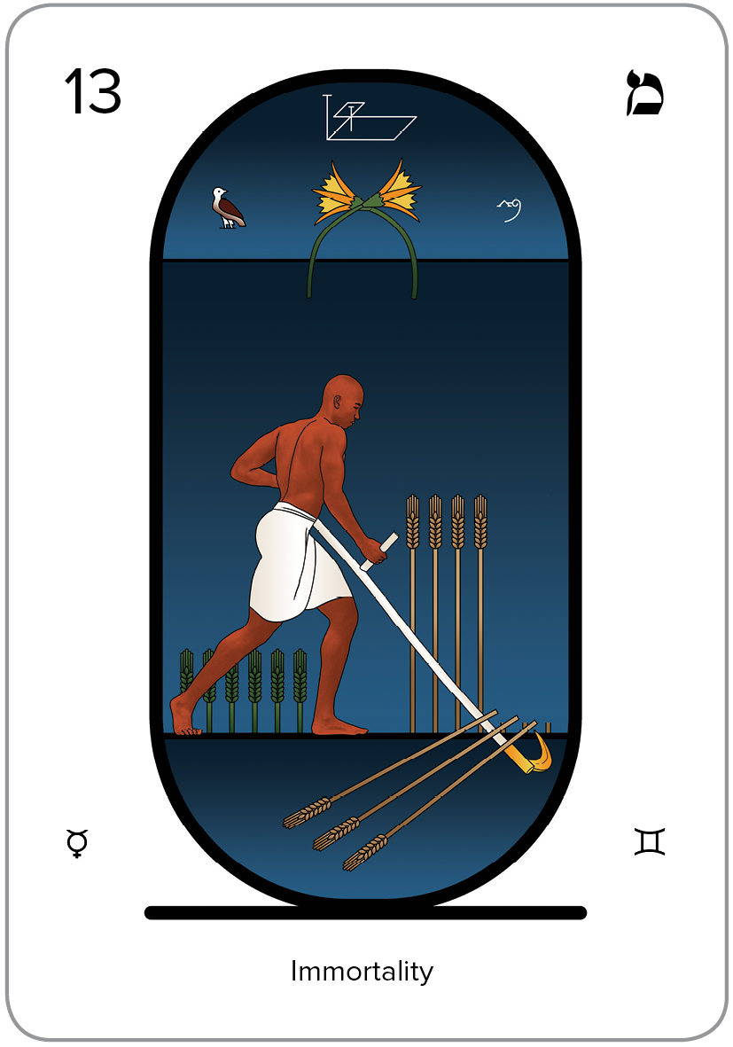 Arcanum 13 of the Tarot