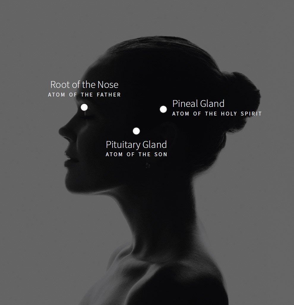 The three atoms in our brain.