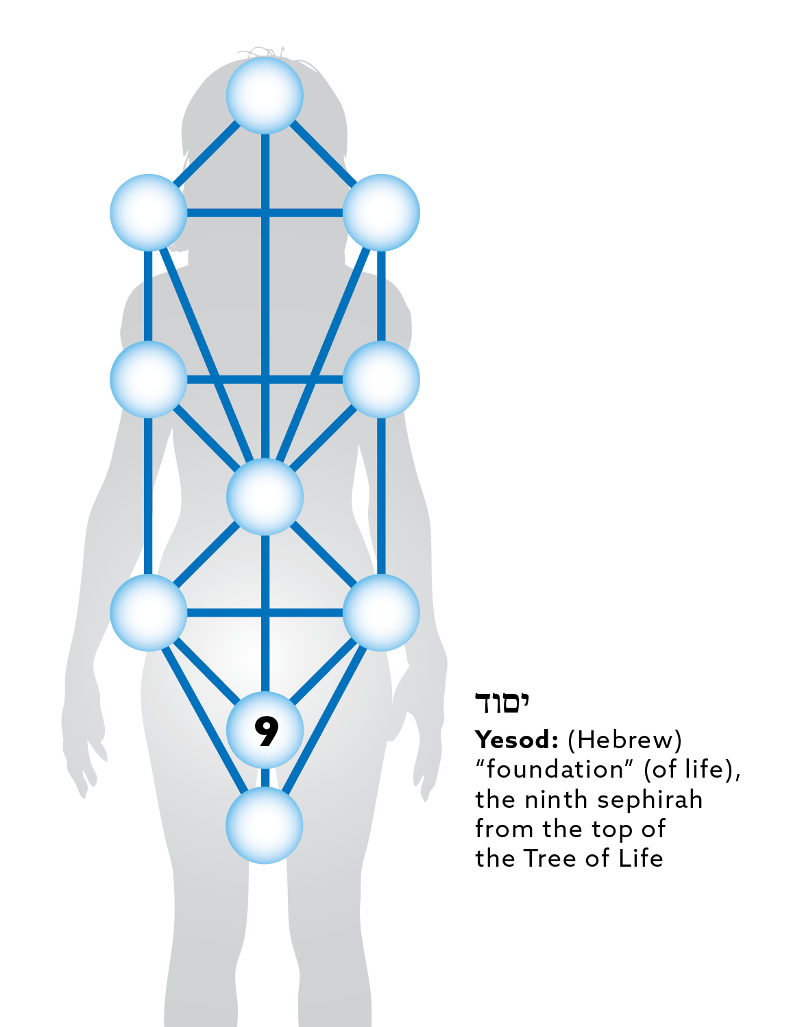 Tree of Life and the body.
