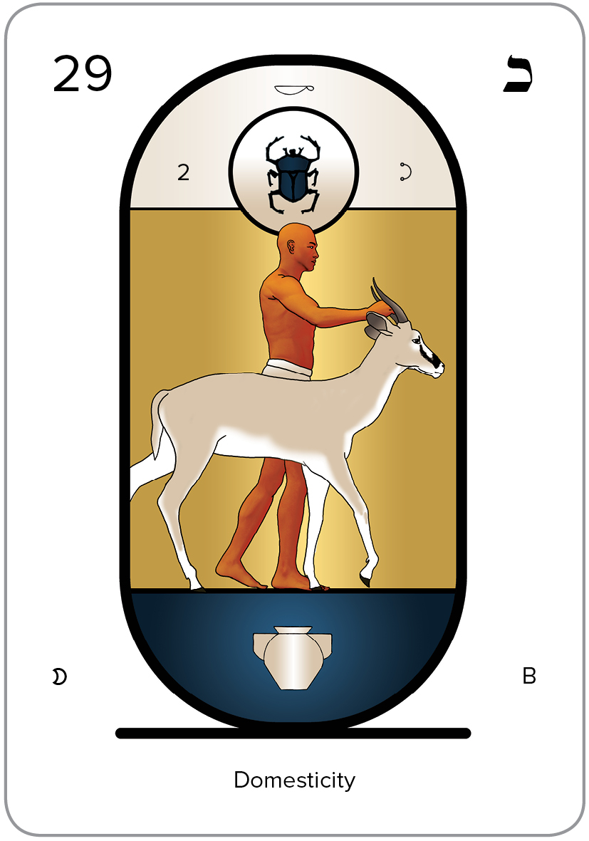 The Arcanum 29 of the Tarot