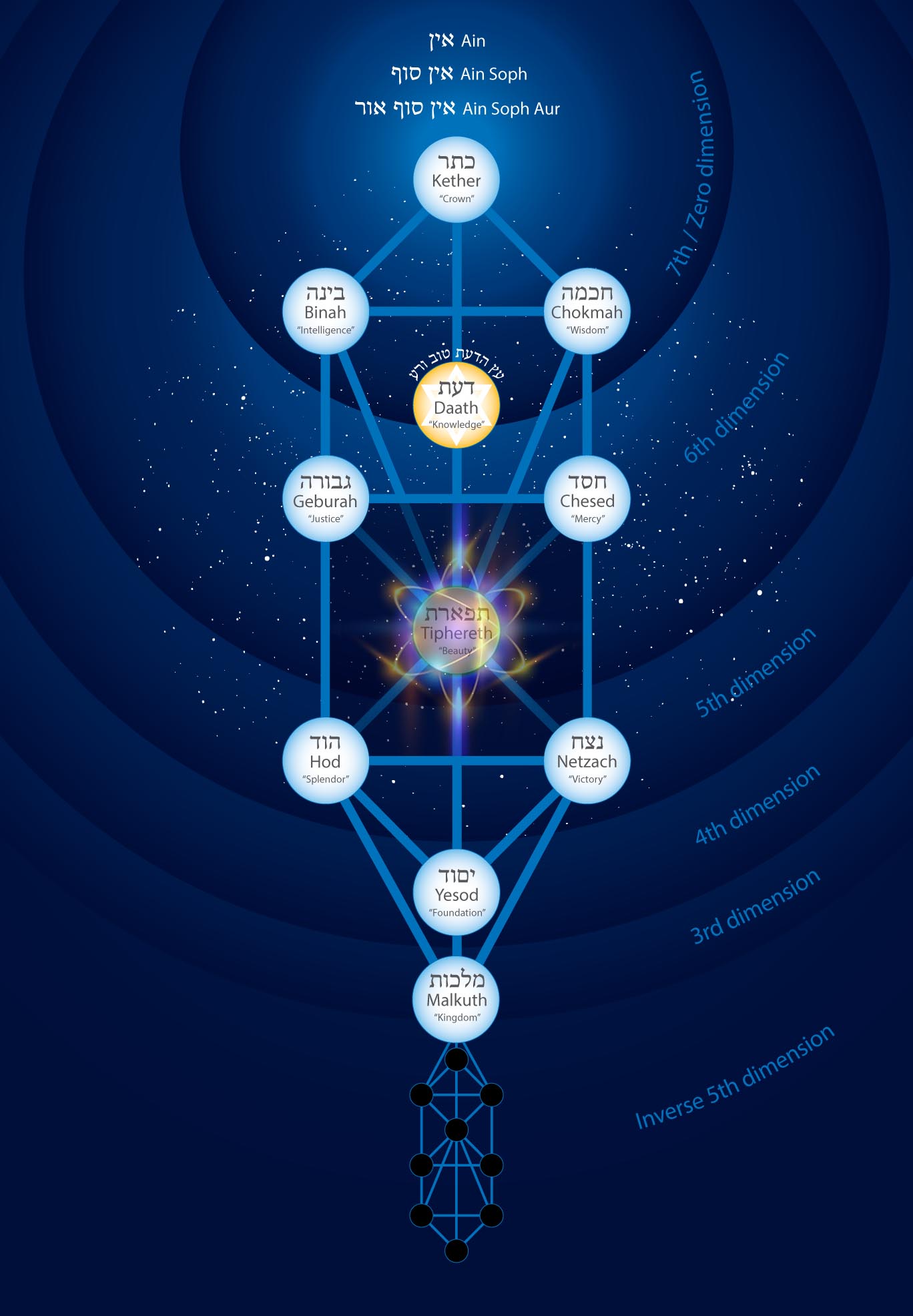 tree of life bodies