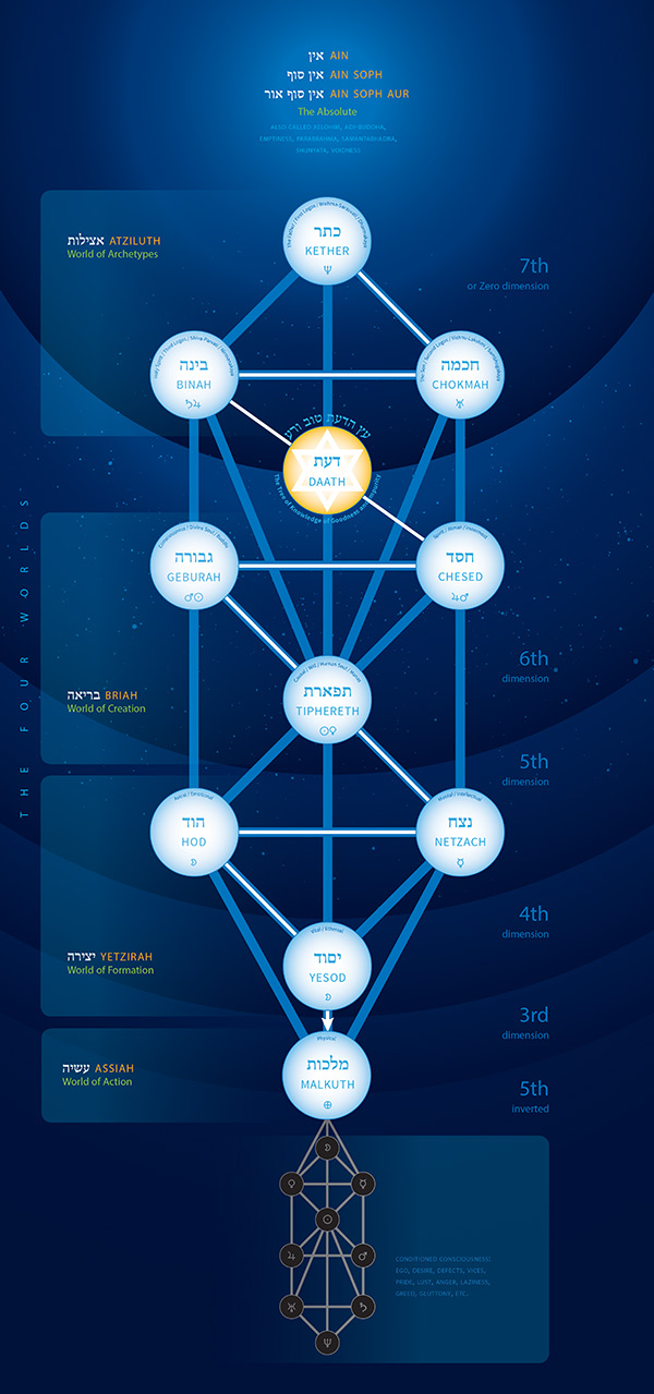 Tree of Life 2.0 plain