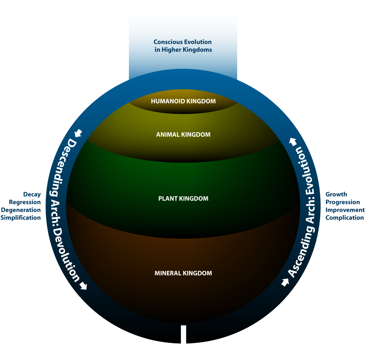 evolution and devolution kingdoms