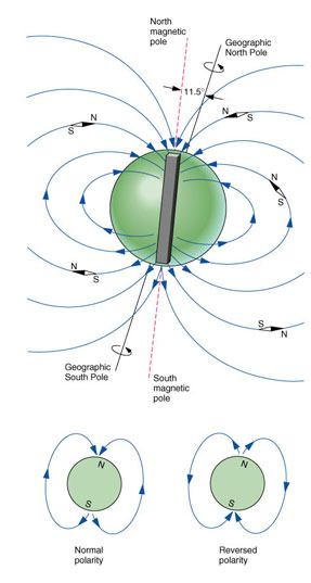 magnetic-pole