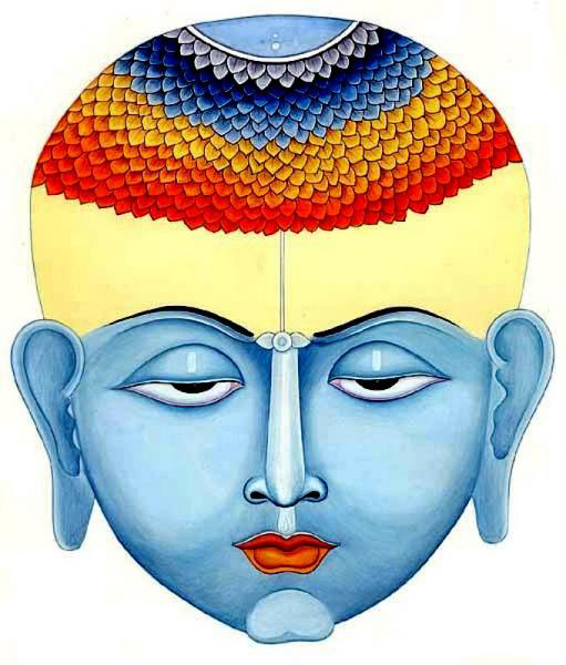 brahmarandhra