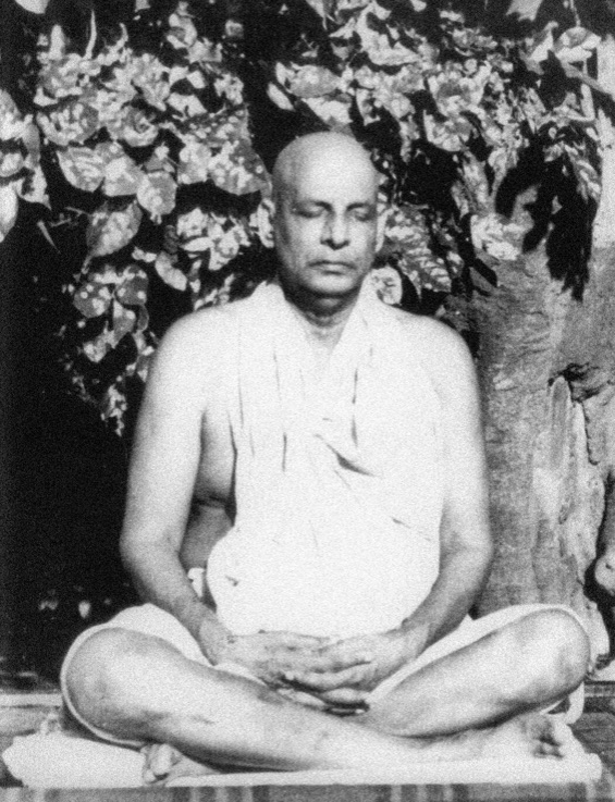 sivananda meditating