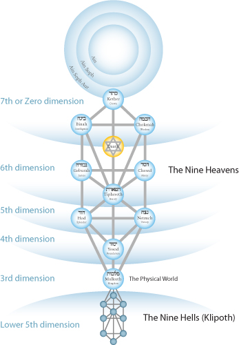 tree of life dimensions color 2