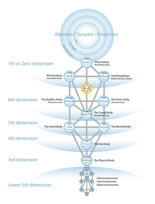 tree of life twelve bodies s