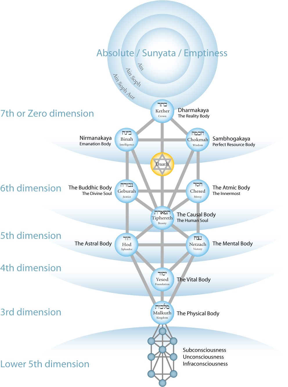 tree of life twelve bodies