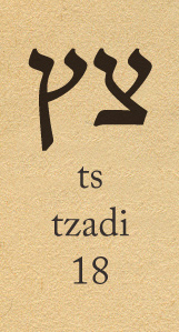 letters-ref-tzadi