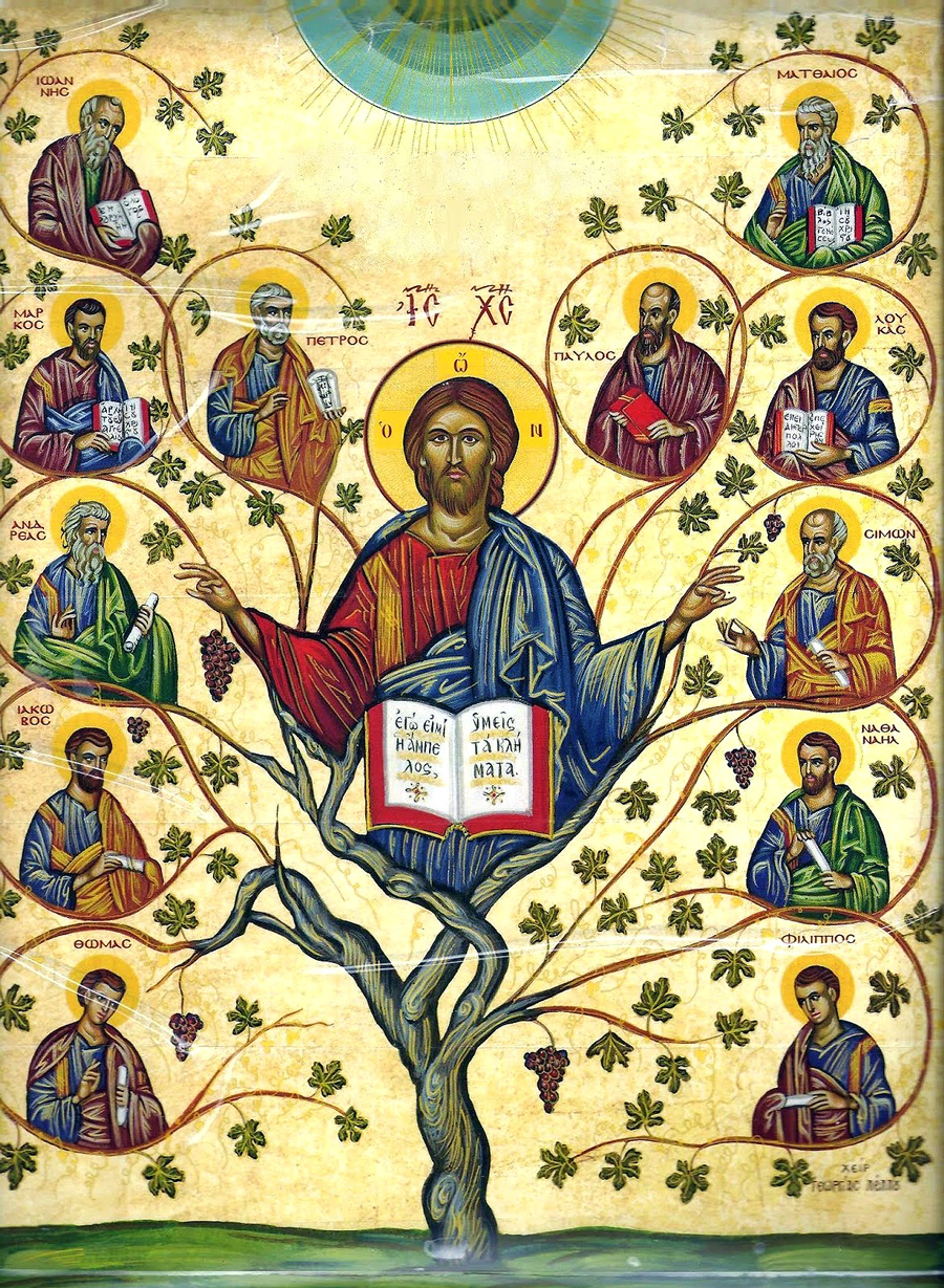 apostles tree