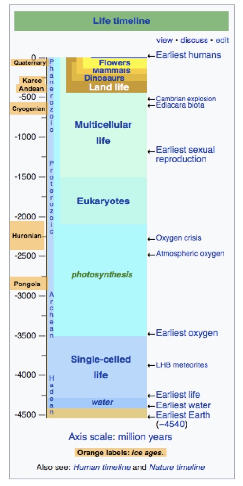 evolution timeline