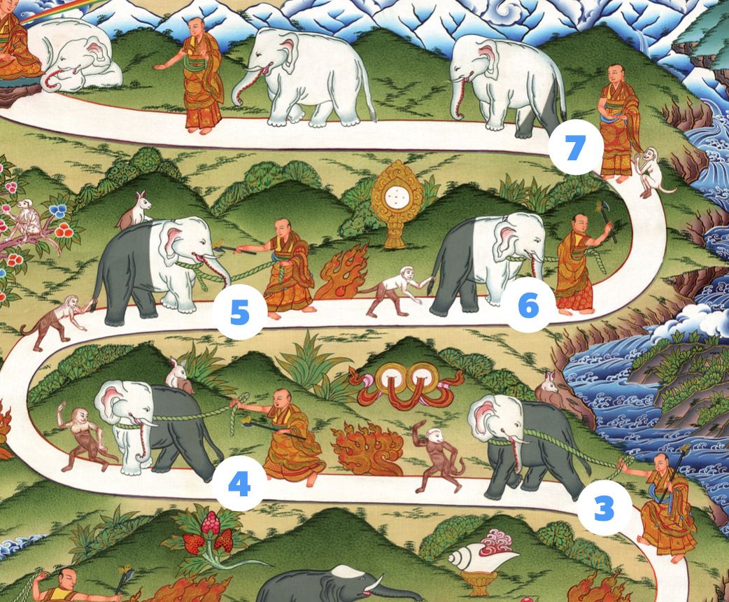 What are the stages of Meditative Concentration?