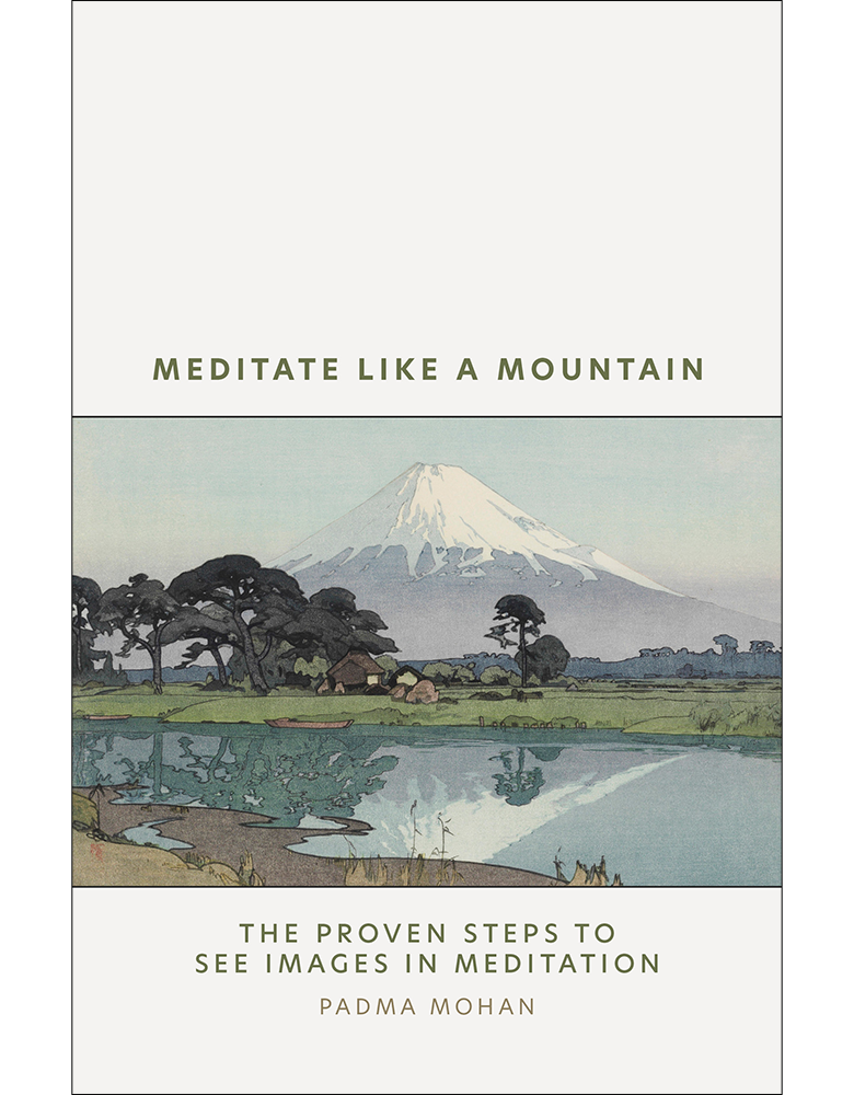 Meditate Like a Mountain by Padma Mohan