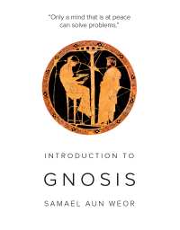 Introduction to Gnosis