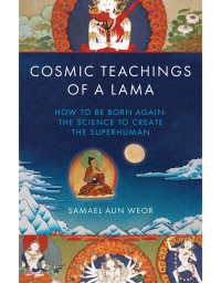 Cosmic Teachings of a Lama